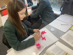 Exploring Schizophrenia Through Play-Doh Neurons