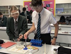 Year 11 Students Shine in Analytical Chemistry Challenge